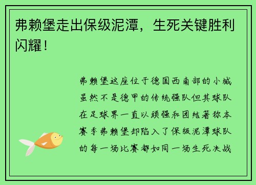 弗赖堡走出保级泥潭，生死关键胜利闪耀！