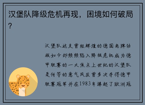 汉堡队降级危机再现，困境如何破局？