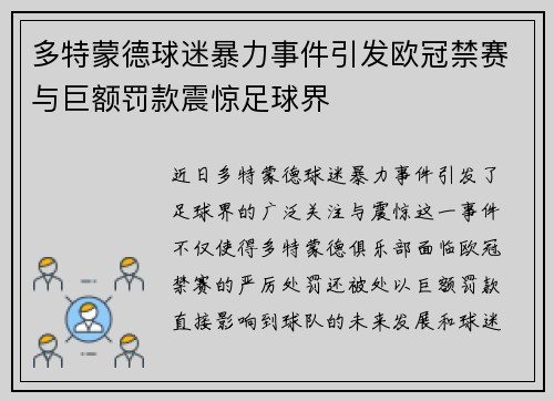 多特蒙德球迷暴力事件引发欧冠禁赛与巨额罚款震惊足球界