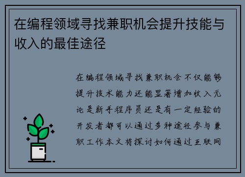 在编程领域寻找兼职机会提升技能与收入的最佳途径