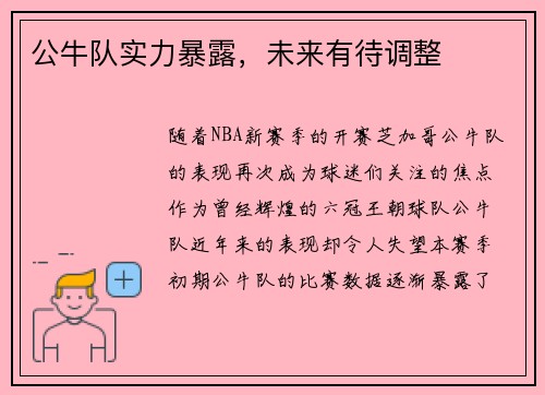 公牛队实力暴露，未来有待调整